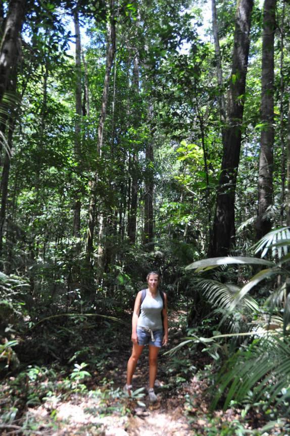 Longa caminhada na floresta para se chegar à Cachoeira da Neblina, em Presidente Figueiredo - AM